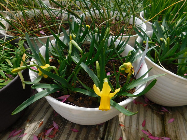 DSCN3177.JPG