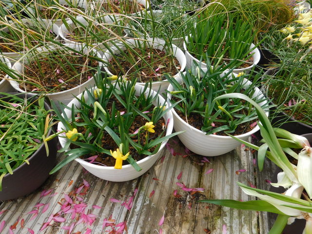 DSCN3180.JPG