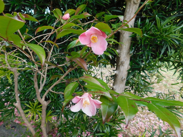 DSCN3182.JPG