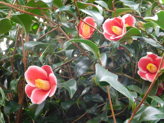 DSCN3207.JPG