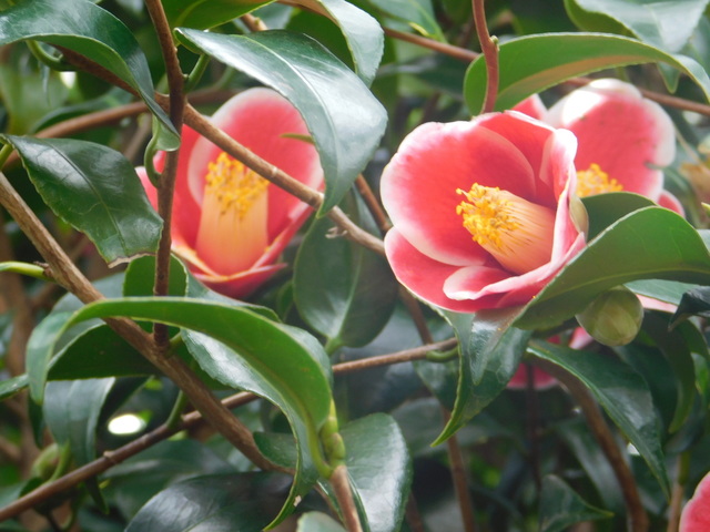 DSCN3210.JPG