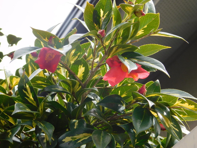 DSCN3212.JPG