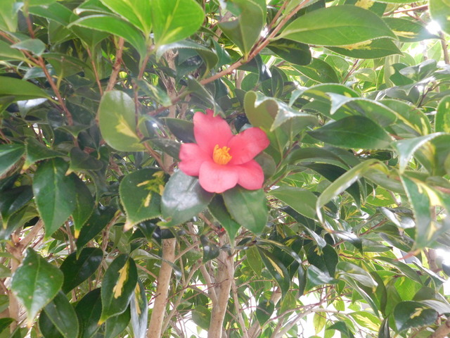 DSCN3214.JPG