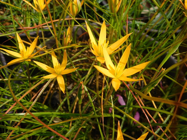 DSCN3218.JPG