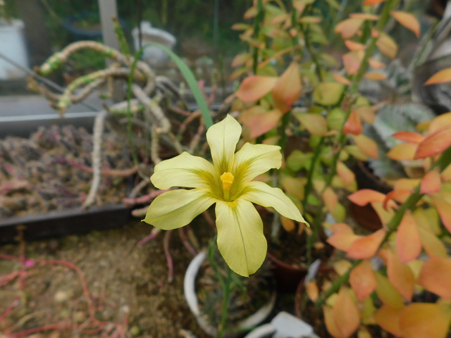 DSCN3222.JPG