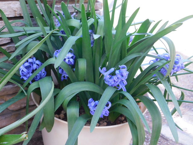 DSCN3264.JPG