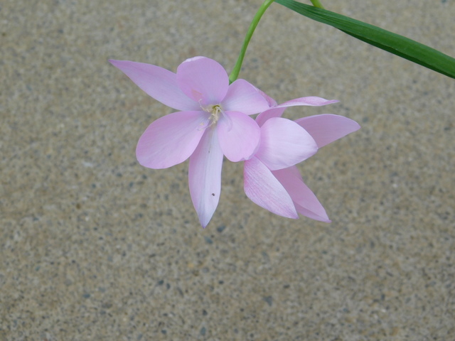 DSCN3395.JPG