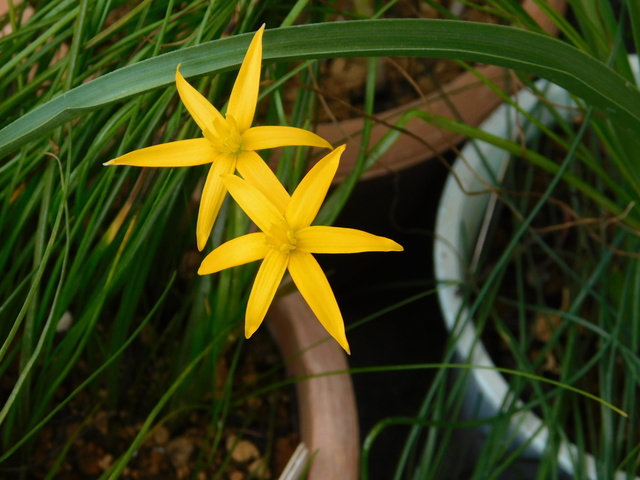 DSCN3399.JPG