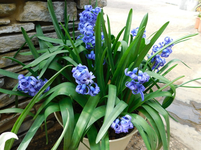 DSCN3406.JPG