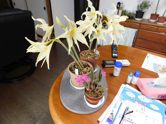 DSCN3407.JPG