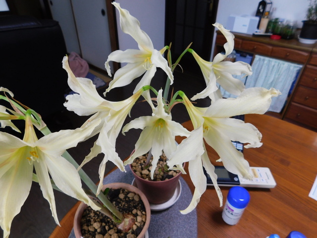 DSCN3409.JPG