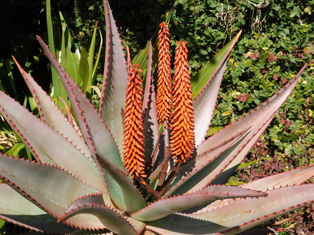 DSCN3409.JPG