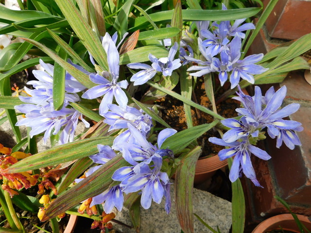 DSCN3409.JPG