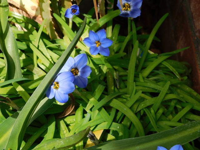 DSCN3410.JPG