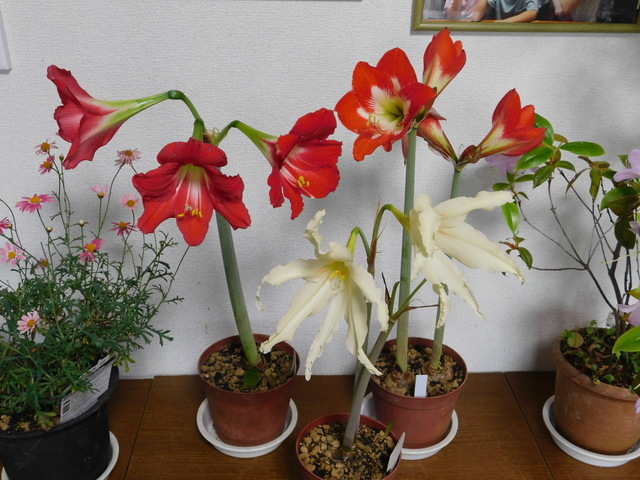 DSCN3411.JPG