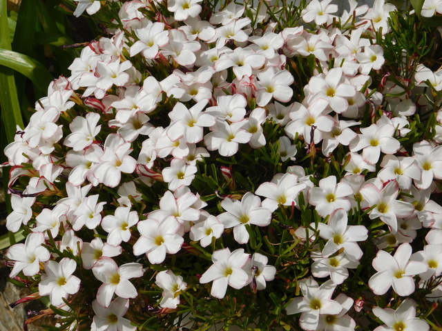 DSCN3412.JPG