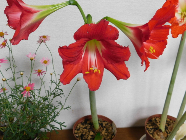 DSCN3413.JPG