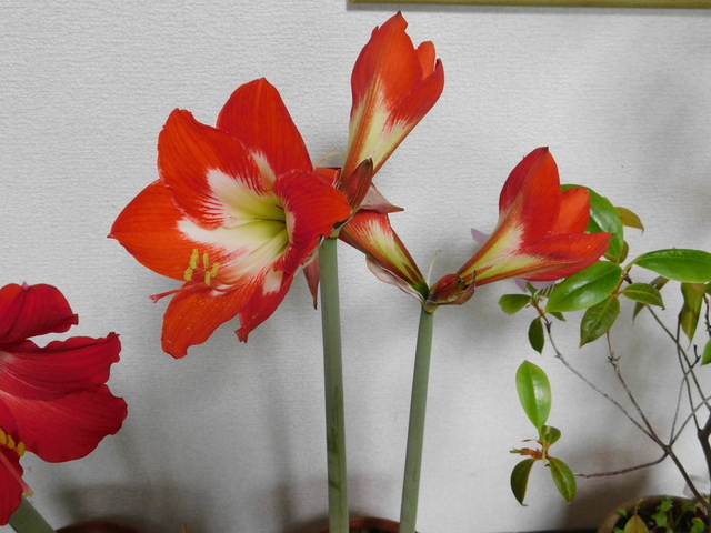 DSCN3415.JPG