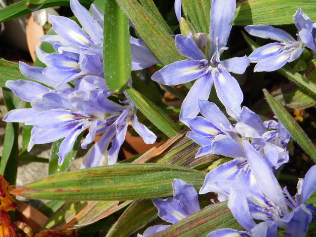 DSCN3415.JPG