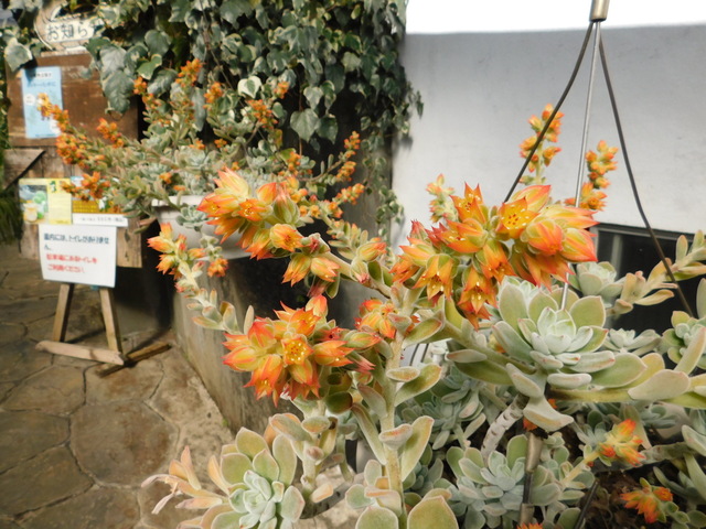 DSCN3417.JPG
