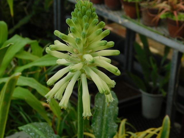 DSCN3417.JPG