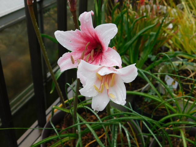 DSCN3419.JPG
