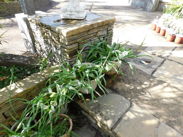 DSCN3420.JPG