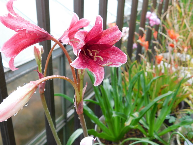DSCN3421.JPG