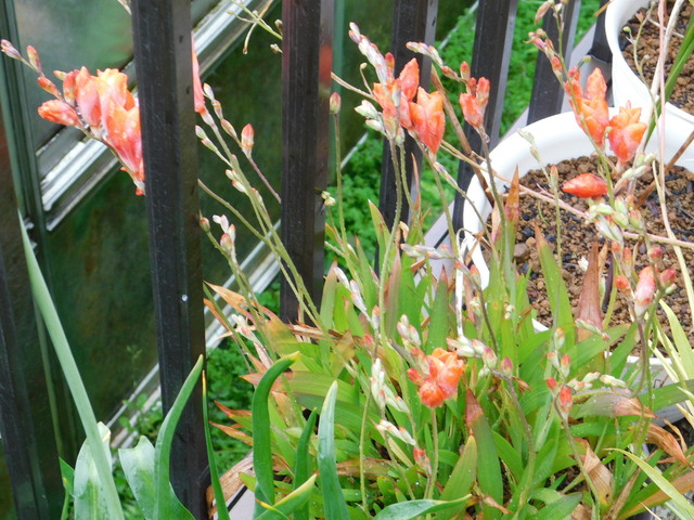 DSCN3423.JPG