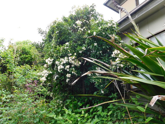 DSCN3425.JPG