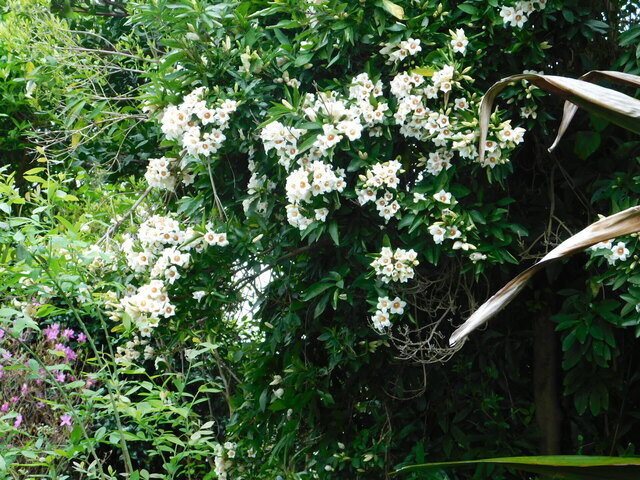 DSCN3427.JPG