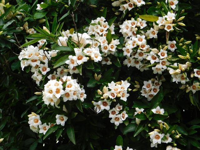 DSCN3428.JPG