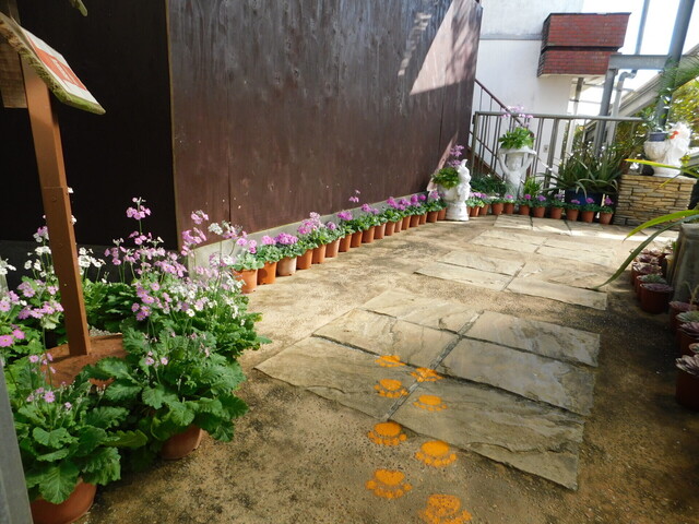 DSCN3429.JPG