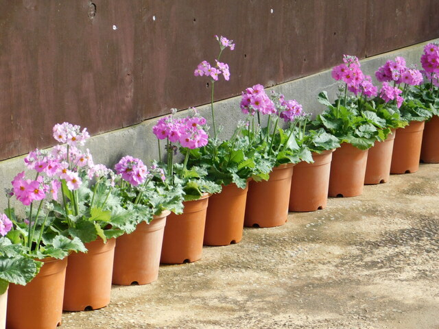 DSCN3432.JPG