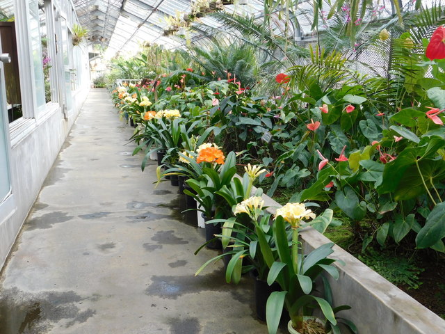DSCN3456.JPG