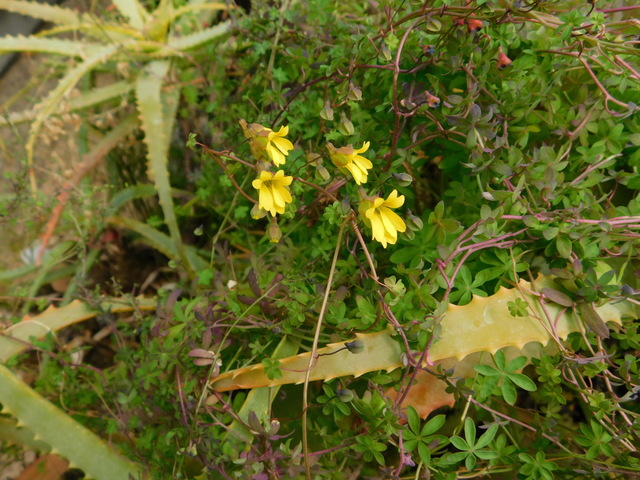 DSCN3471.JPG