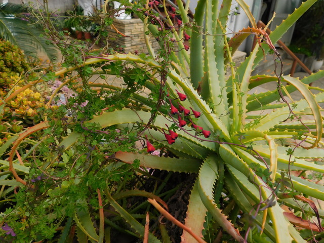 DSCN3473.JPG