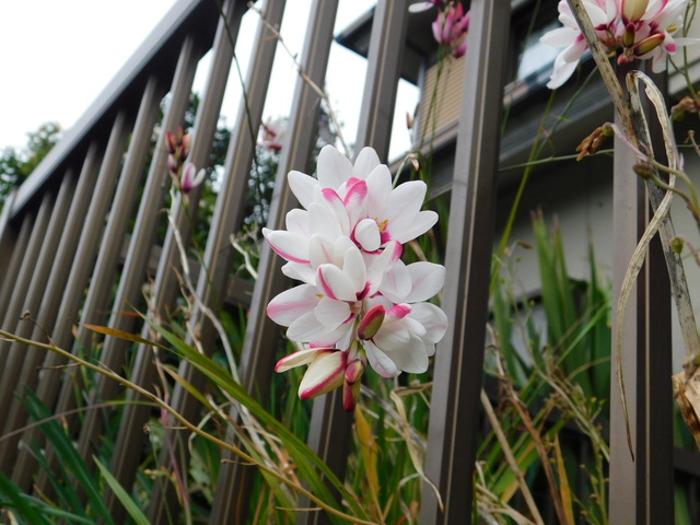 DSCN3481.JPG