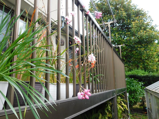 DSCN3483.JPG
