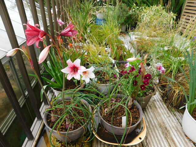 DSCN3484.JPG