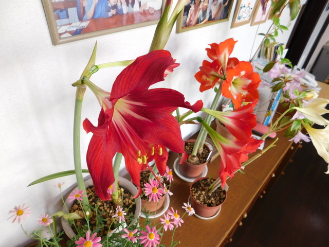 DSCN3491.JPG