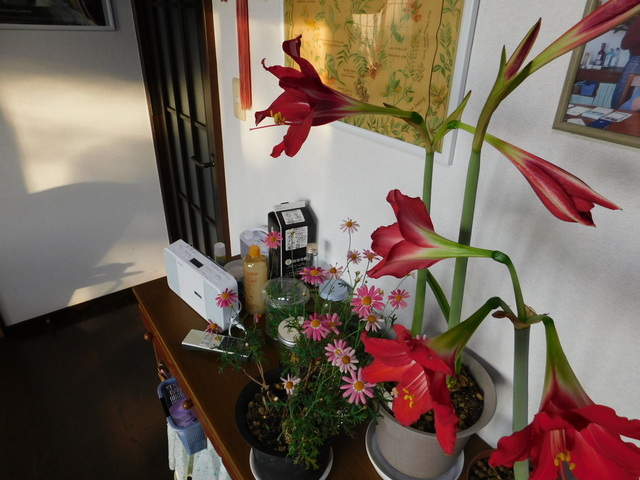 DSCN3493.JPG