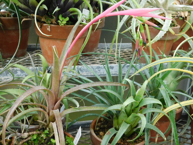 DSCN3530.JPG