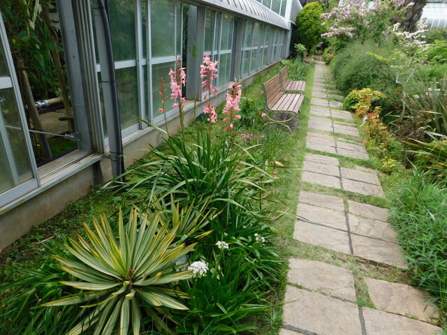 DSCN3539.JPG