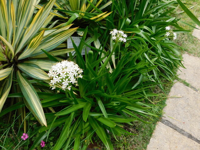 DSCN3541.JPG
