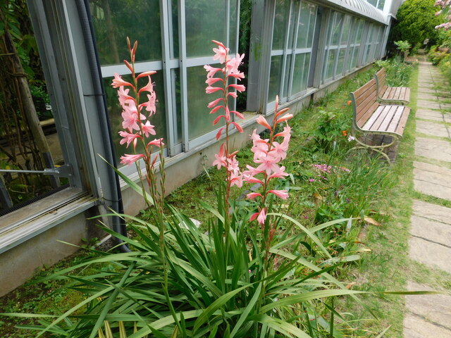 DSCN3543.JPG
