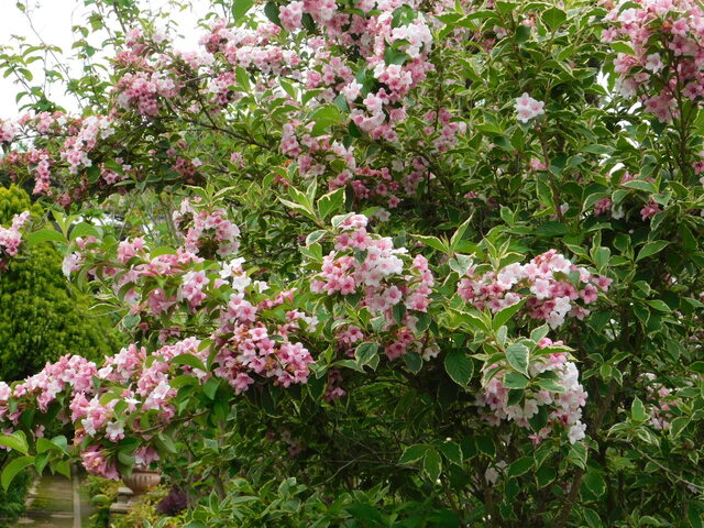 DSCN3546.JPG