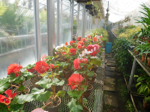 DSCN3547.JPG