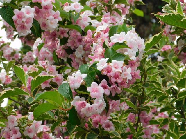 DSCN3549.JPG