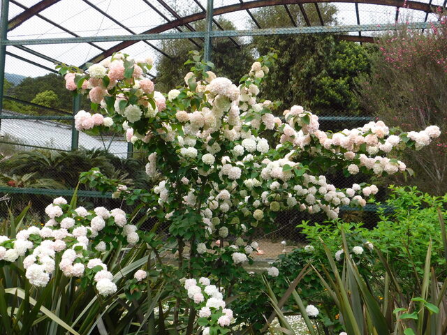 DSCN3551.JPG
